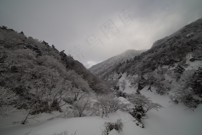 山，汉拿，雪，景观，冬季，雪山