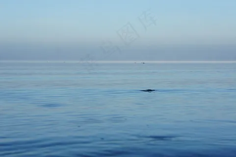 水，基姆湖，性质，波，湖泊风景，美丽，早上