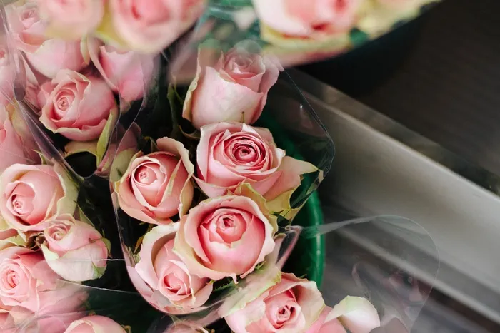 粉红，玫瑰，鲜花，花束