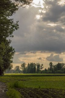 景观，羊毛，天空，自然，宽，乌云，草地