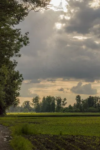 景观，羊毛，天空，自然，宽，乌云，草地