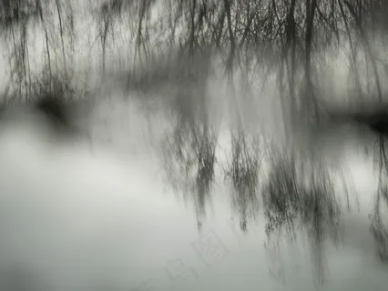 树,模糊图片,头发,云雾,树,鬼影反射