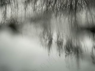 树,模糊图片,头发,云雾,树,鬼影反射