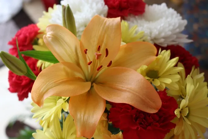 花，百合，黄色，花束，康乃馨，花的