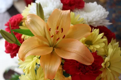 花,百合,黄色,花束,康乃馨,花的 花,百合,黄色,花束,康乃馨,花的