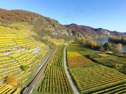 上莱茵河谷,葡萄园,河流,德国,文化 上莱茵河谷,葡萄园,河流,德国,文化