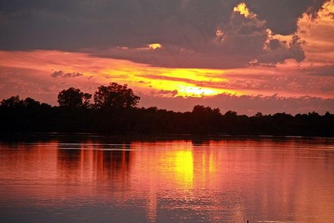 晚上，暮光之城，水，反射，鸟，池塘