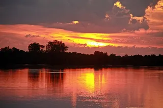 晚上，暮光之城，水，反射，鸟，池塘