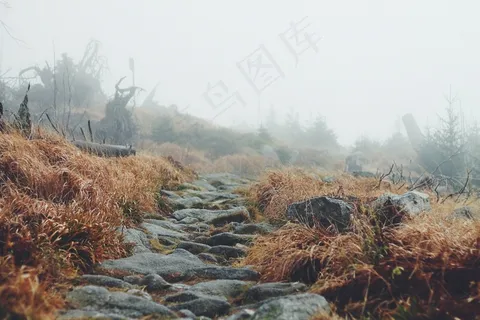 景观,路径,方式,徒步旅行,徒步旅行,自然,户外 景观,路径,方式,徒步旅行,徒步旅行,自然,户外