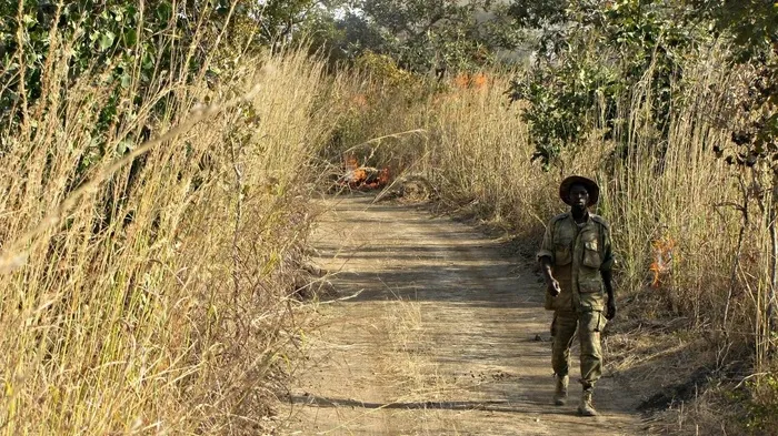 村道,山峦,生态林,三关口,树,路径人走黑