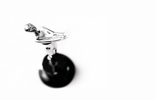 壁灯,项链,吊坠,项坠,水晶海豚,投射的黑白图像