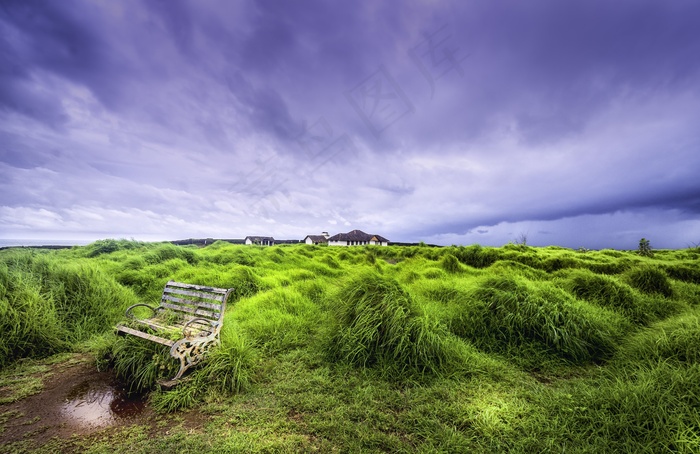 农村，绿色，广阔，被遗弃，椅子，增长