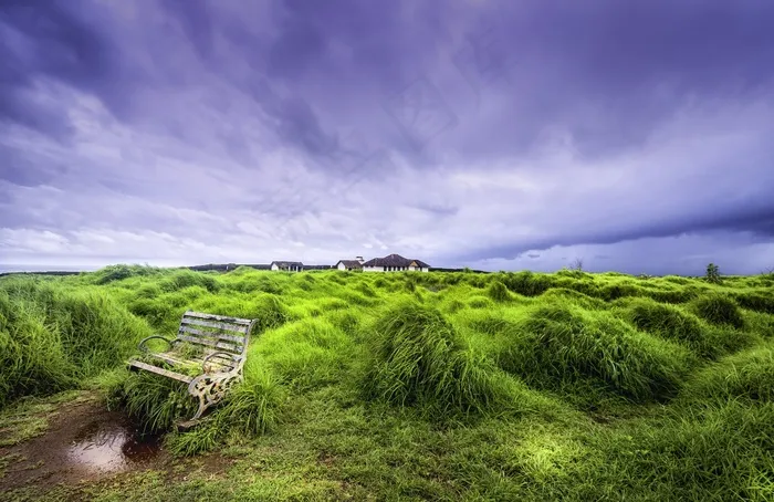 农村，绿色，广阔，被遗弃，椅子，增长