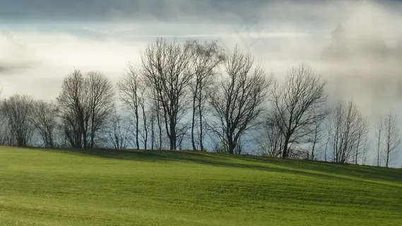 阿尔高，Forggensee湖，秋，雾，树木，阴影