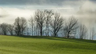 阿尔高，Forggensee湖，秋，雾，树木，阴影