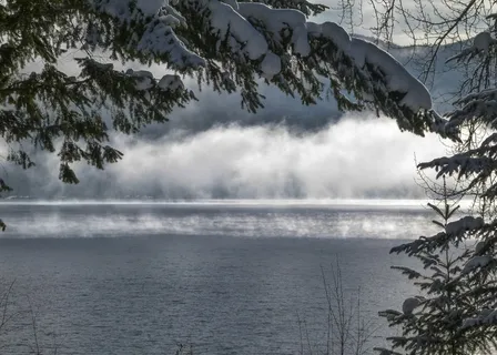 冬季，季节，寒冷，雪，冰冷，景观，风景