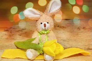 织物兔子，Dekohase，花，郁金香，感到