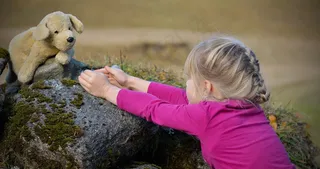 儿童，自然，女孩，金发，泰迪熊，最喜欢的玩具