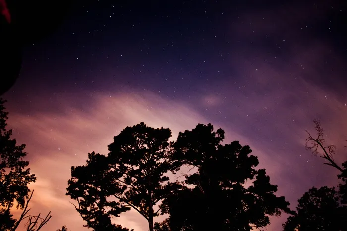 夜空，树，侧影，星星，夜