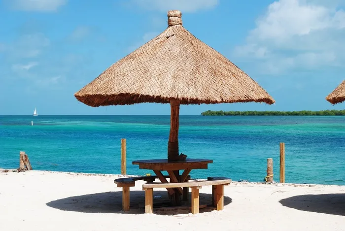 伯利兹，Caye Caulker，龙涎香，中美洲，岛