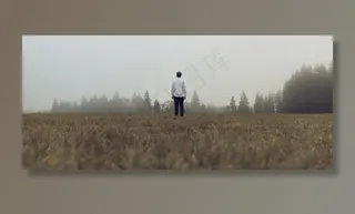 场，草，家伙，文家，人，树木，雾，性质