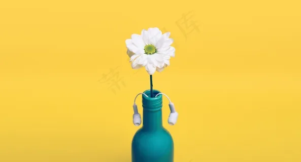 黄色，雏菊，瓶，花瓶，耳机，耳塞，装饰