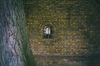 树,温泉,门,建筑,文字图片,老房子的窗户