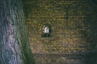 树,温泉,门,建筑,文字图片,老房子的窗户