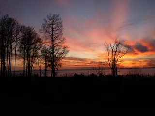 日落，晚上，黄昏，景观，树木，剪影