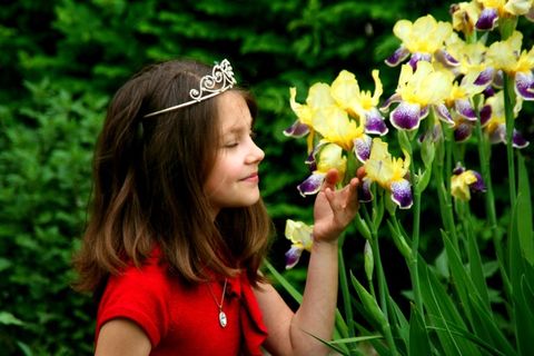 女孩，肖像，花，花圈，红色，儿童