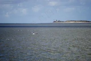 北海，水，海，天空，云团，湖泊，瓦登海