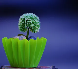 植物，锅，绿色，花，自然