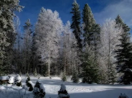 冬季,季节,寒冷,雪,冰冷,景观,风景 冬季,季节,寒冷,雪,冰冷,景观,风景