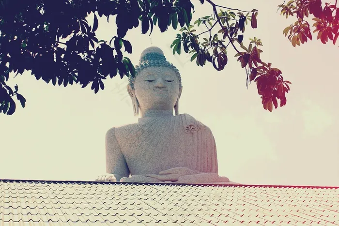 大佛，普吉岛，泰国，寺，佛教，佛