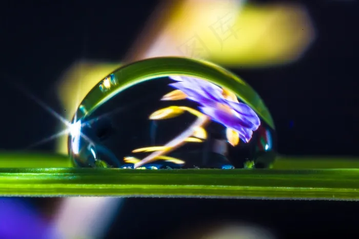 一滴水，滴水，草叶，开花，盛开