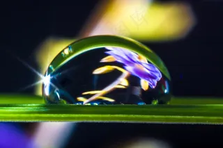一滴水，滴水，草叶，开花，盛开