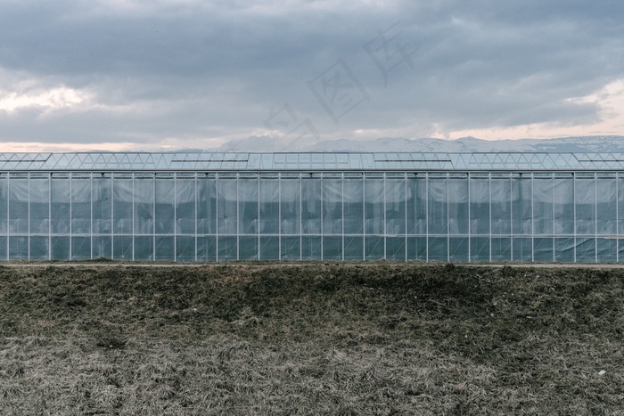 绿色，房子，增长，作物，蔬菜，建设