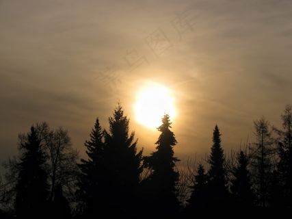 日出，太阳，天空，早晨，树木，侧影