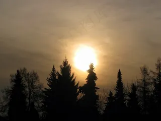 日出，太阳，天空，早晨，树木，侧影