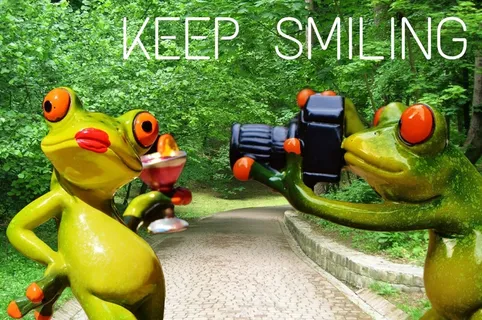 青蛙，摄影师，模型，模特照片，夫人，构成