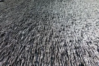 茅草屋顶，芦苇，屋顶