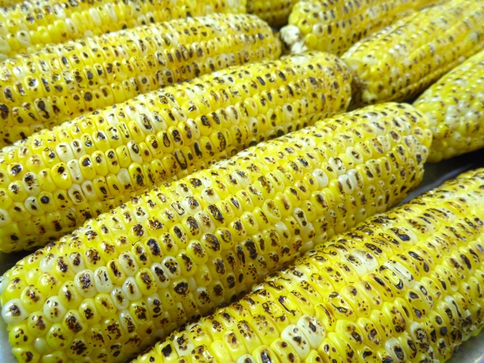 玉米，烤，玉米芯，玉米芯，玉米仁，