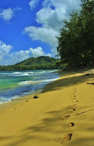 海滩，曲目，沙滩，沙，脚印，哈纳雷