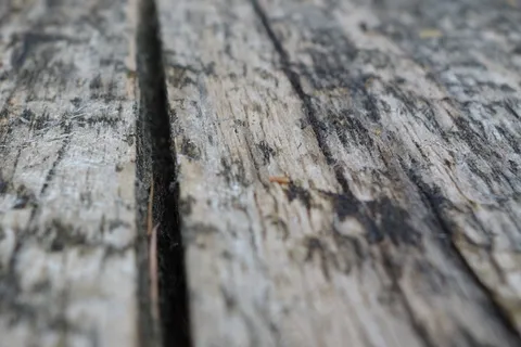 董事会,木,粮食,老,纹理,面板,Bohlen 董事会,木,粮食,老,纹理,面板,Bohlen