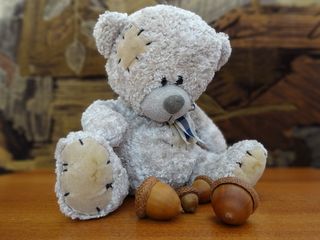 泰迪熊，吉祥物，毛绒吉祥物，乐趣，可爱