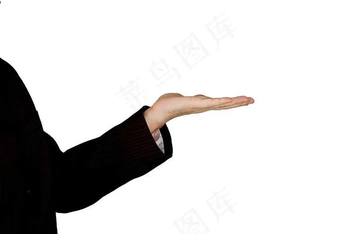 手,脚,舞者,手掌,瑜伽,打手势在白色背景上的女商人