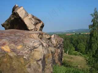 萨克森-安哈尔特，德国，山，森林，树木