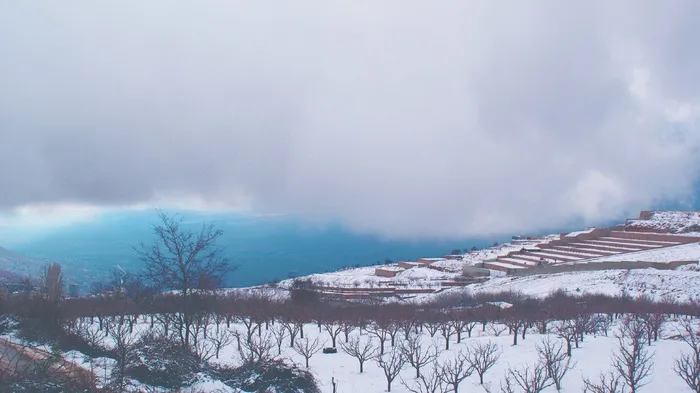 风景，冬天，雪，自然，寒冷，白