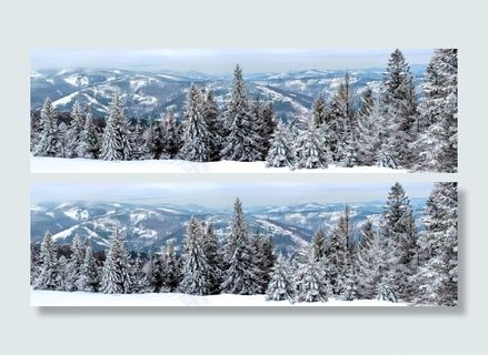 冬季，景观，雪，山，树，意见，白色