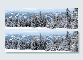 冬季，景观，雪，山，树，意见，白色